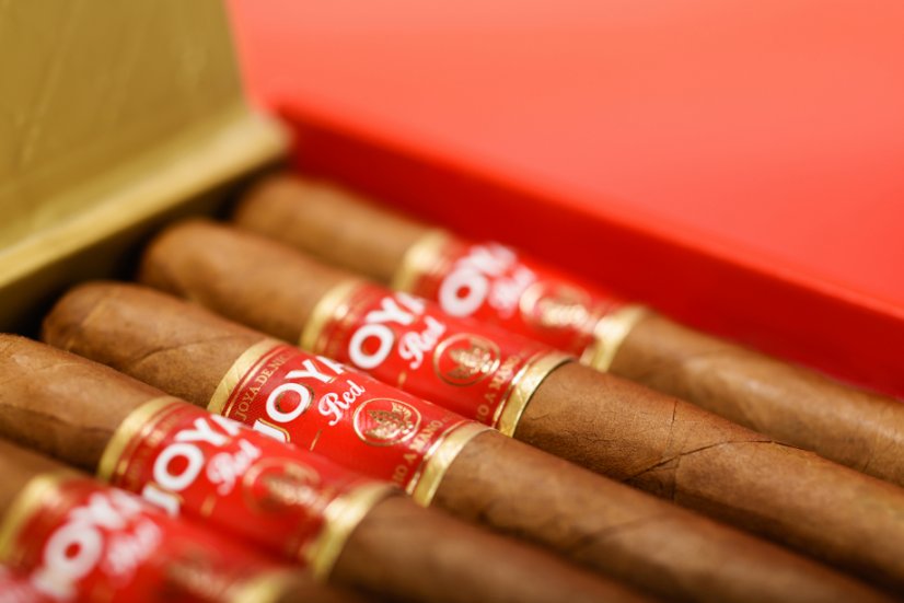 Joya Red Robusto