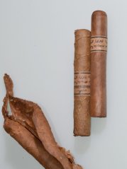 Leaf by Oscar Sixty Corojo