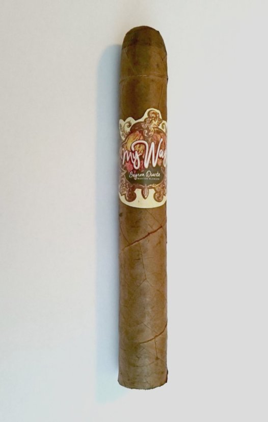 My Way by Byron Duarte Toro