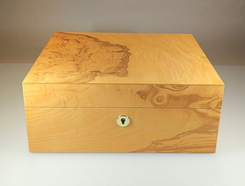Humidor Adorini Salento Olive Burl