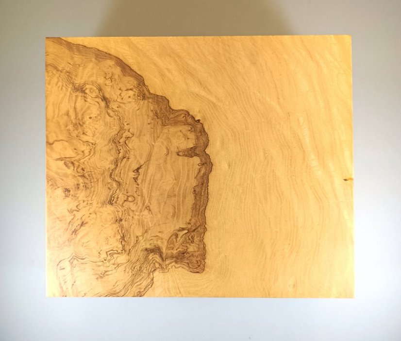 Humidor Adorini Salento Olive Burl