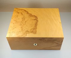 Humidor Adorini Salento Olive Burl
