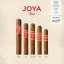 Joya Red Robusto