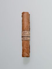 Leaf by Oscar Sixty Sumatra