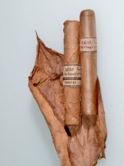 Leaf by Oscar Sixty Sumatra