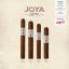 Joya Silver Corona