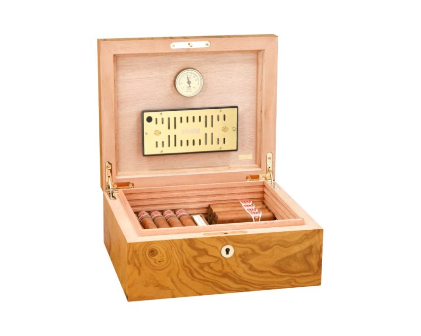 Humidor Adorini Salento Olive Burl