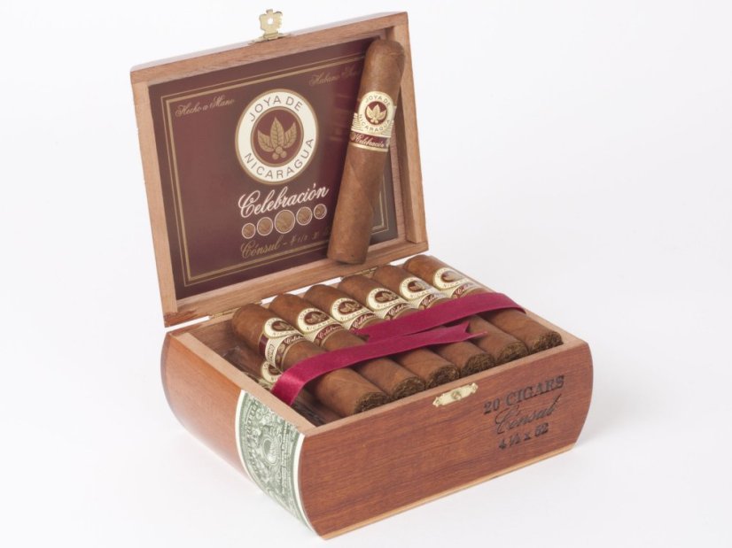 JDN Celebracion Robusto